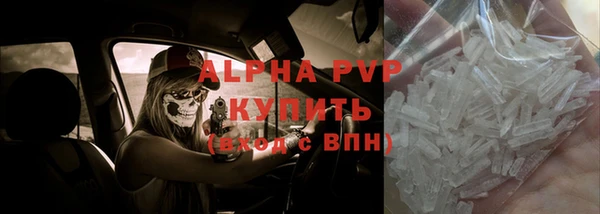 Альфа ПВП Аркадак