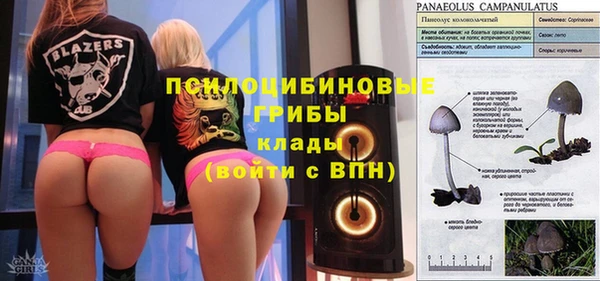 Альфа ПВП Аркадак