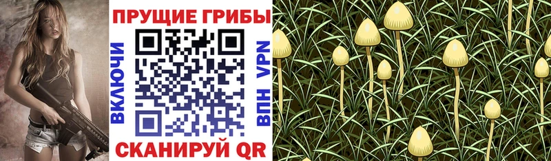 Псилоцибиновые грибы Magic Shrooms  Ступино 