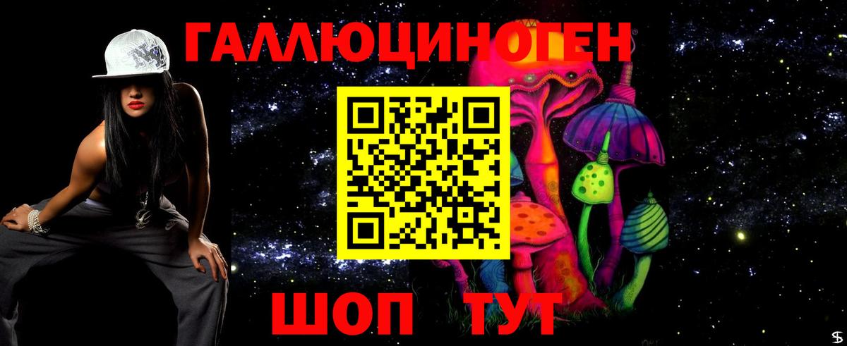 Псилоцибиновые грибы Psilocybe Ступино